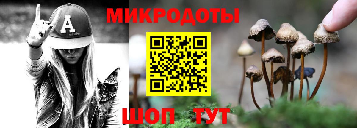 Галлюциногенные грибы Cubensis Волжский
