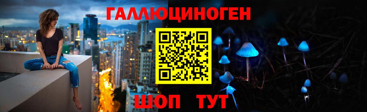 Волжский  Галлюциногенные грибы Psilocybine cubensis  Вход с VPN 