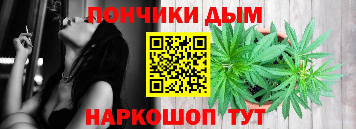 Бошки марихуана конопля Волжский